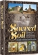Sacred Soil: A guided tour through the spiritual essence of Eretz Yisrael