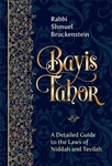 Bayis Tahor: A Detailed Guide to the Laws of Niddah and Tevilah