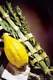 Lulav and Etrog Set for Sukkot