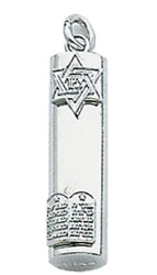 Mezuzah Star Torah Pendant