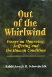 Out of the Whirlwind: Essays on Suffering, Mourning and the Human Condition