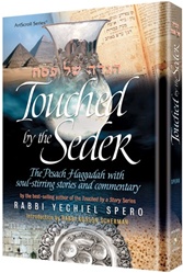 Touched by a Seder