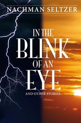 In the Blink of an Eye and Other Stories