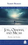 Joel, Obadiah, and Micah: Facing the Storm