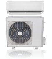 DUCTLESS HEAT PUMP MINI SPLIT