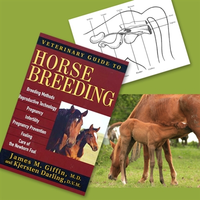 Veterinary Guide To Horse Breeding