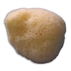 Natural Sea Sponges - medium