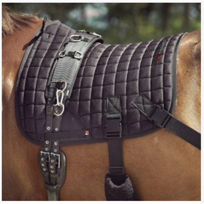 Fir-tech training saddle pad