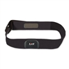 Polar Equine WearLink Belts