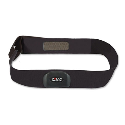 Polar Equine WearLink Belts