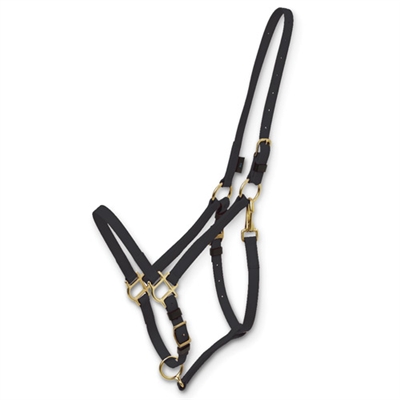 Zilco Deluxe MS Endurance Bridles - Halter Part - Arab/Full - BRASS