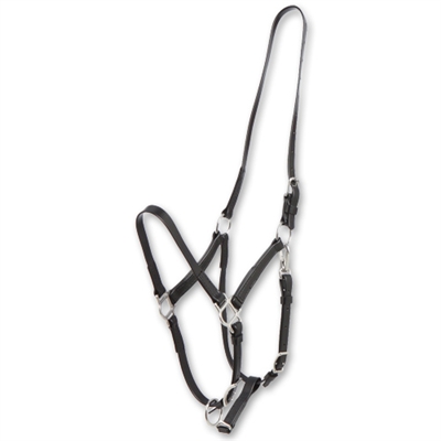 Zilco Deluxe MS Endurance Halter Part - Biothane