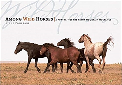 Among Wild Horses: A Portrait of the Pryor Mountain Mustangs by Lynne Pomeranz