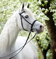 Barefoot Contour Jewel Bridles