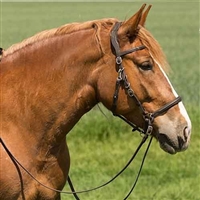 Barefoot Contour Trail Halter Bridles