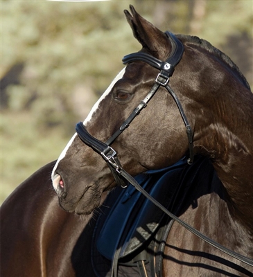 Barefoot Wellington Contour 2 in 1 Bridles