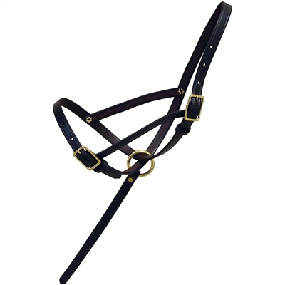 Leather Foal Slip Halter