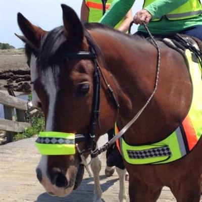 Safe Riders Reflective Nose Gear