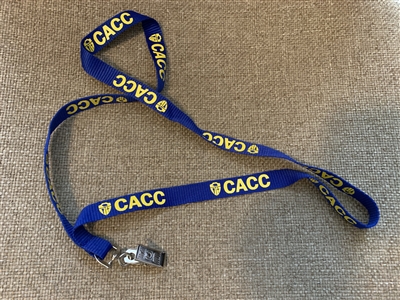 Lanyard