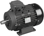 AR Annovi Reverberi R1267A Electric Motor