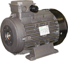 AR Annovi Reverberi R6011 Electric Motor