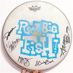 Autographed drum head used by band - v5