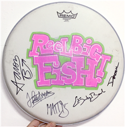 Autographed drum head used by band - v8