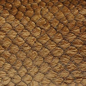 Fish Leather - Chestnut Gloss