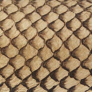 Fish Leather - Natural Suede