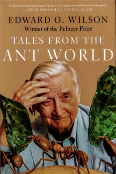 Tales from the Ant World