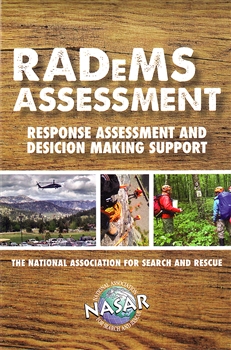 RADeMS Assessment