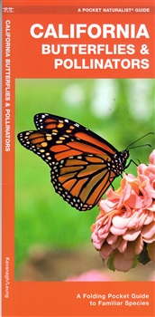 California Butterflies & Pollinators