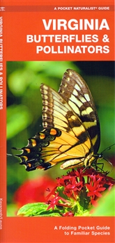 VIRGINIA Butterflies & Pollinators