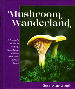 Mushroom Wanderland