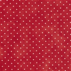 Strawberry Patches BACKING Fabric