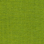 Lime Green Dunroven House Cotton Twill Towel