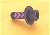 555544 Carb Spacer Screw