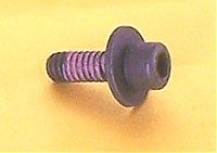 555544 Carb Spacer Screw