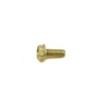 699483 Animal Cyl. Shield Screw, Metric