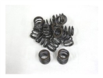 Dyno Animal Valve Spring (High Tensil)