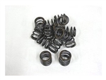 Dyno Animal Valve Spring (Hvy Duty)