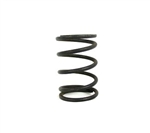 Dyno Box Stock Clone Valve Spring (10.8lbs @ .850" spring height) (each)