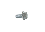 Blower Housing Flange Bolt (6x12 mm)