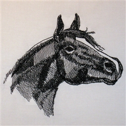 Arabian Horse Head