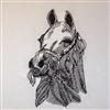 Arabian Horse Head with Bridle