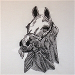 Arabian Horse Head with Bridle