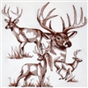 Animal Sketch Single - White Tail - Buck