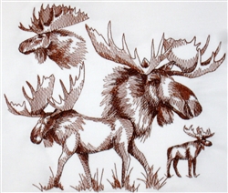 Animal Sketch Single - Moose