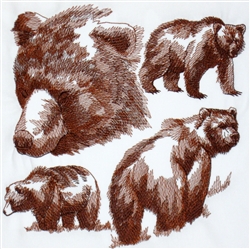 Animal Sketch Single - Bear