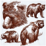 Bears